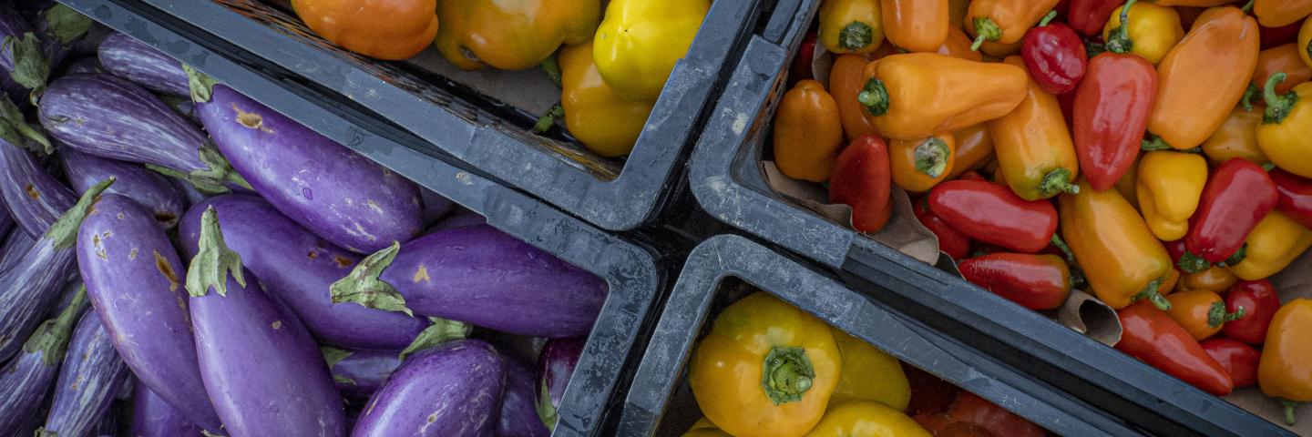 Bins filled with purple eggplants and yellow, red and orange peppers