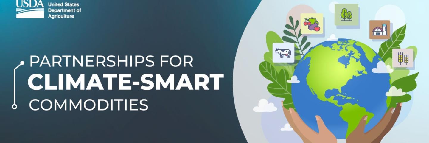Partnerships for Climate Graphic