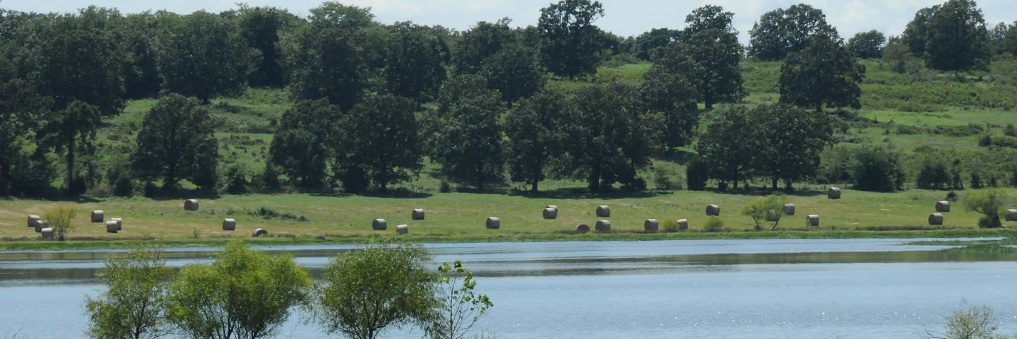 Pasture and Pond SE Oklahoma