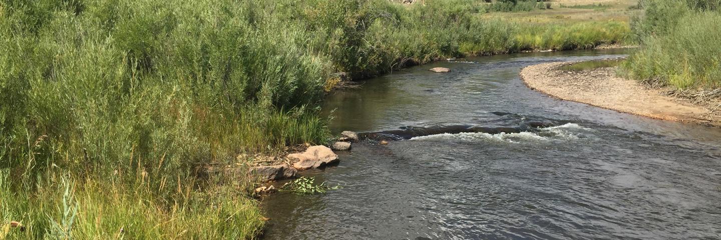 RCPP Upper Colorado RIver - Yampa and Little Snake Basins