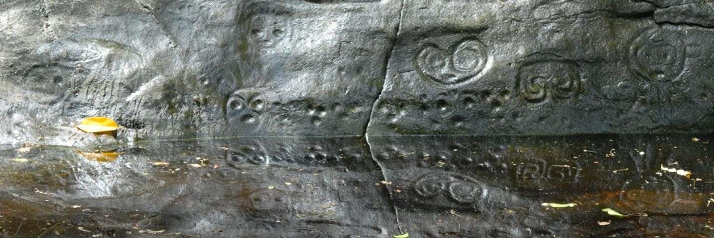 Taino petroglyphs carved into the rock of a stream bank on Reef Bay Trail in St. John, Virgin Islands National Park.