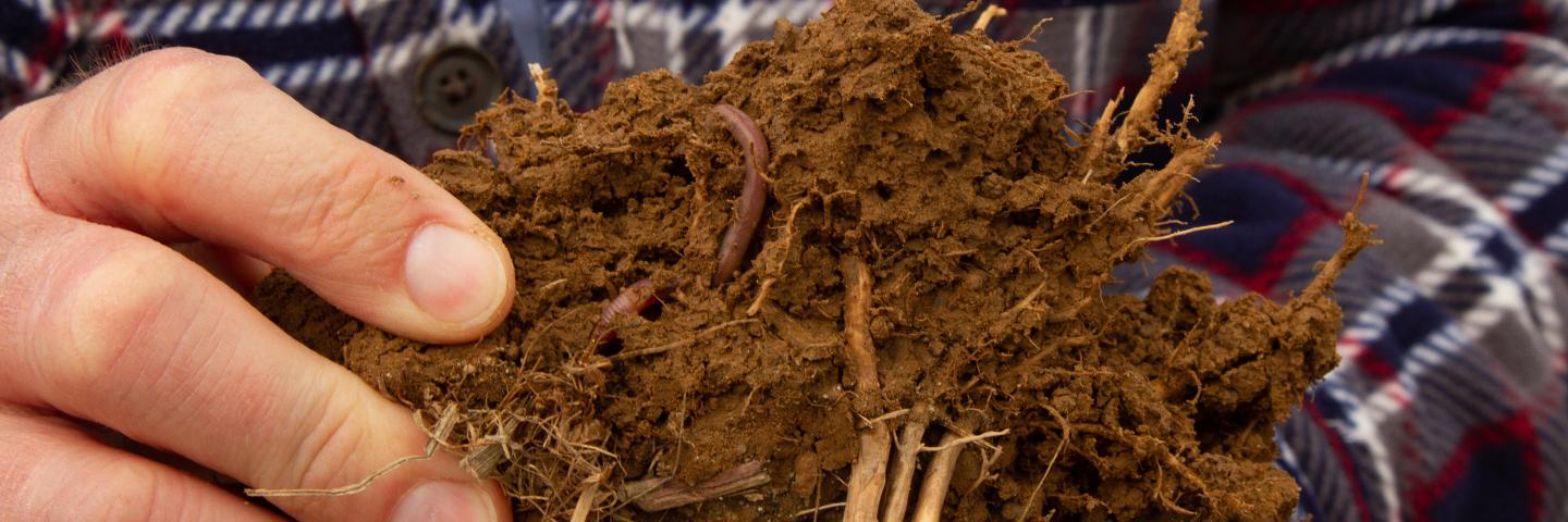 Soil-with-earth-worm