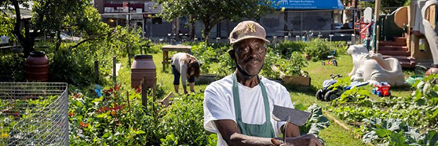Urban Agriculture Producers
