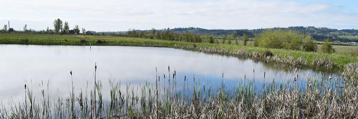 Wetland for Land use planning