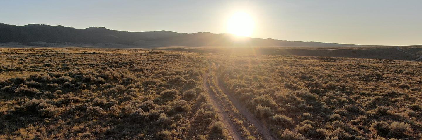 Rangeland in the foreground, with the sun and mountains in the background.