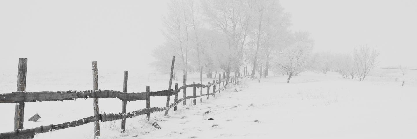 Snow, fence