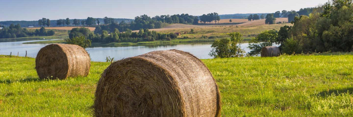 Hay Bales
