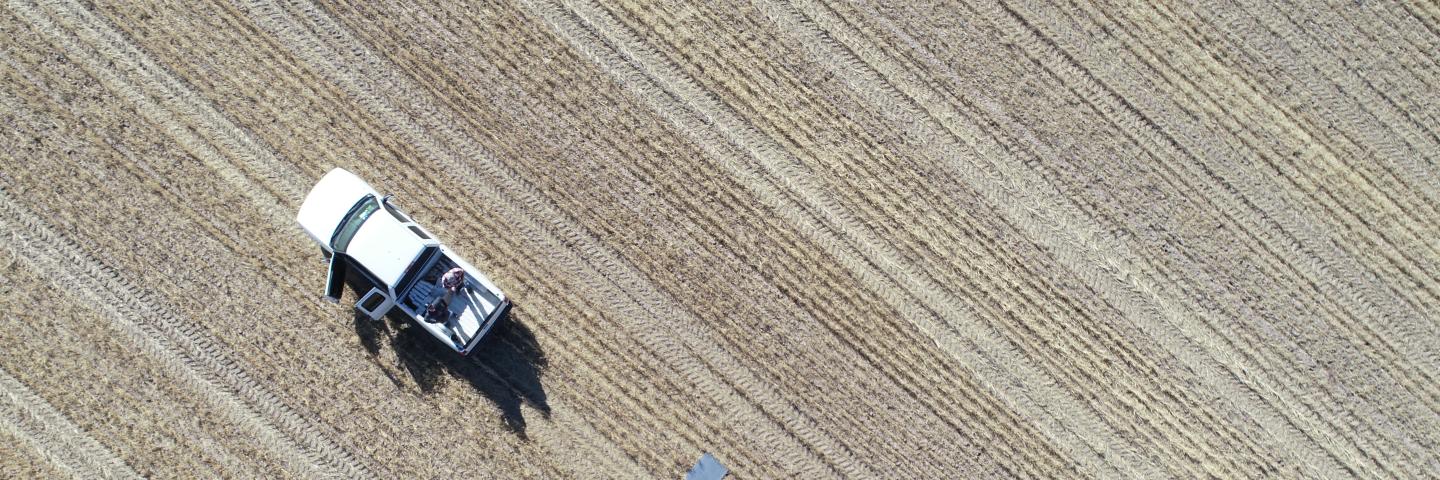 Farm scene from aerial image