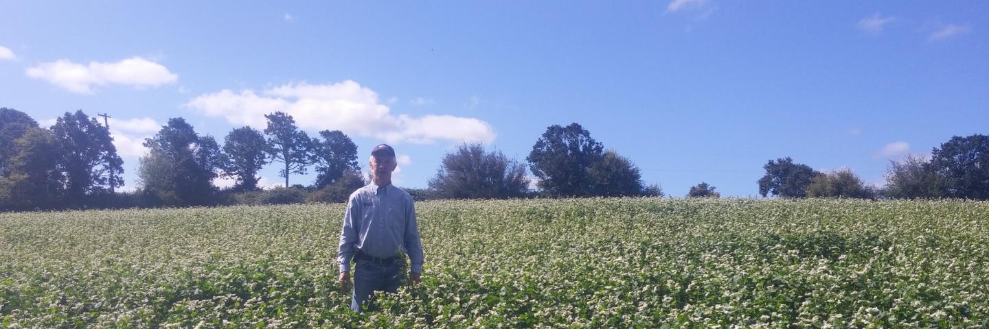 Farmer stands in field