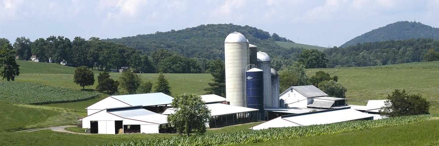 Scenic farm in Virginia's Shenandoah Valley