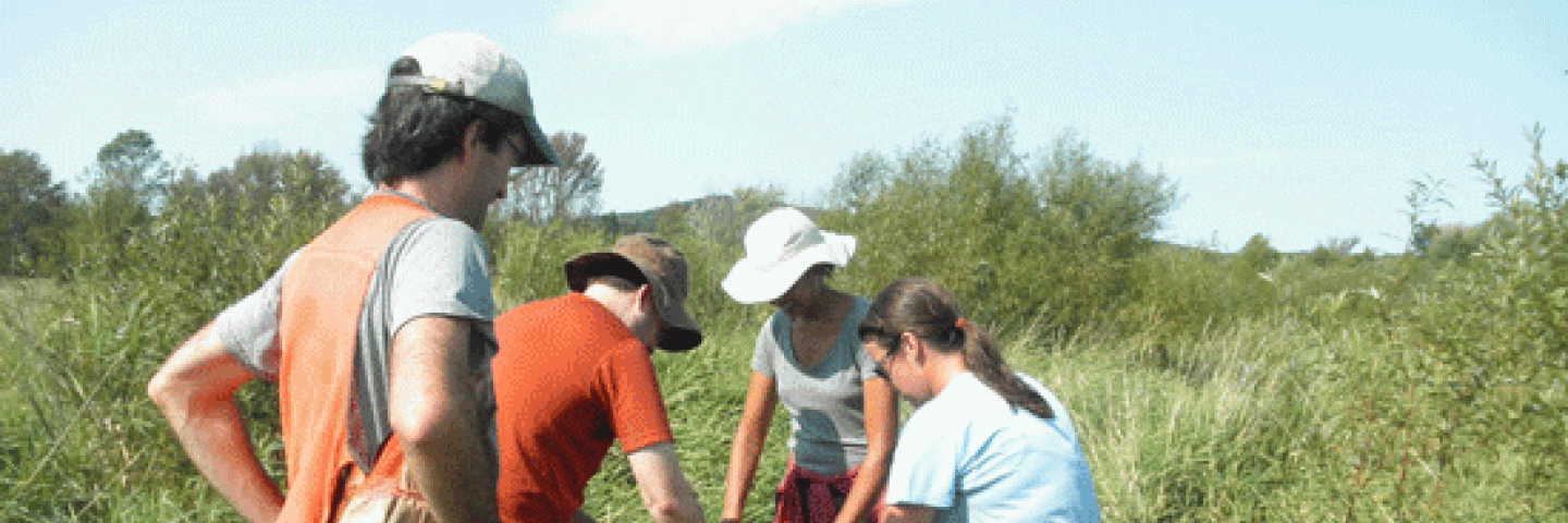Sieving for artifacts