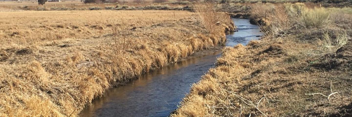 Acequia Ditch in Colorado