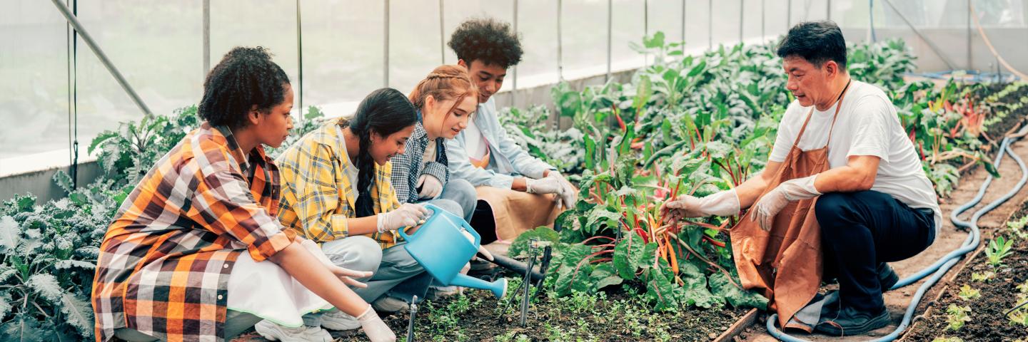 A adult person and 4 youths squatting down to examine plants while the adult teaches in a high tunnel structure.
