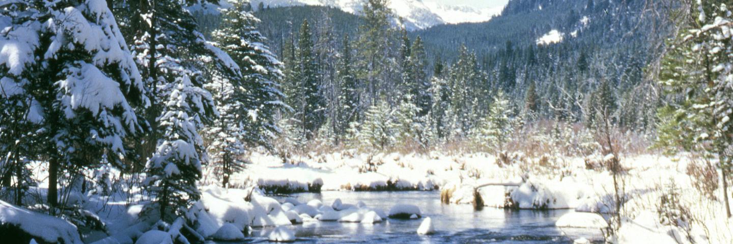 Image of a lake in the forest with snow