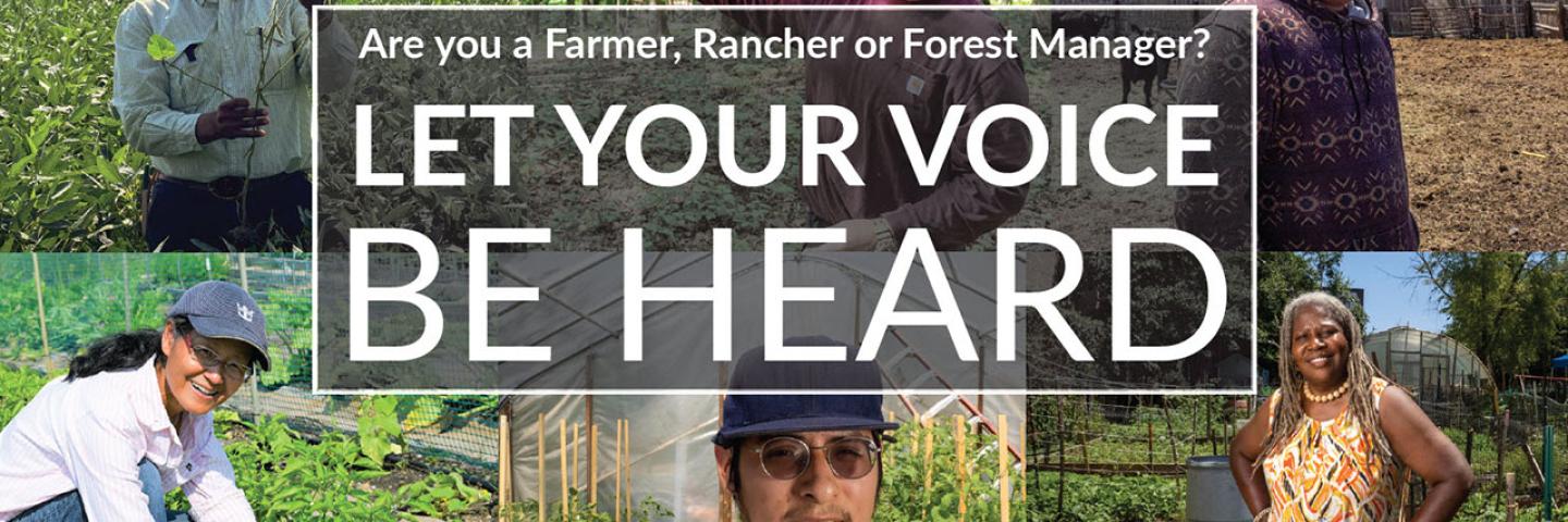 graphic showing ethnically diverse ag producers that asks: "Are you a farmer, rancher or forest manager? Let your voice be heard.