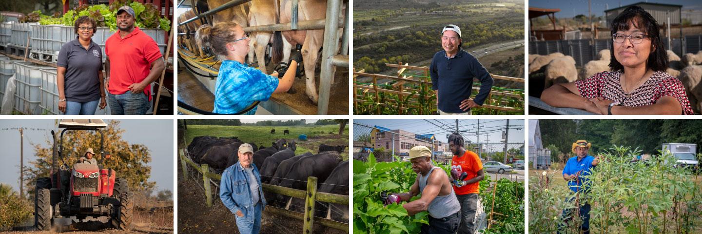 A photo collage showing diverse people in agricultural settings.