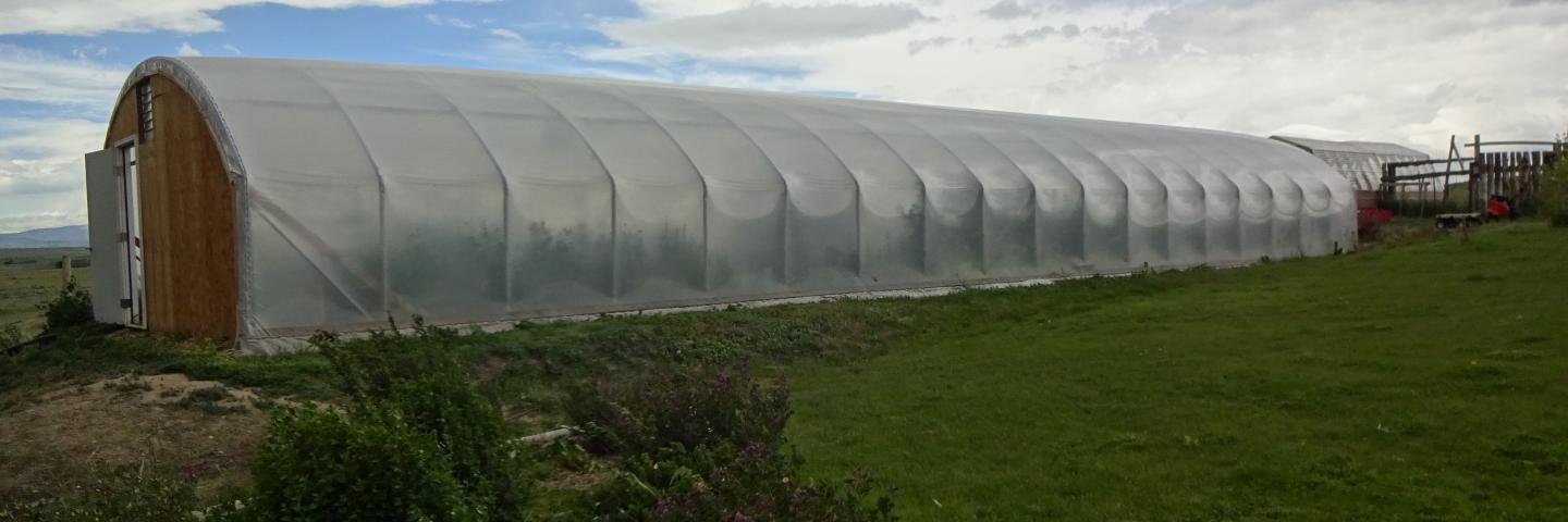 high tunnel for flowers