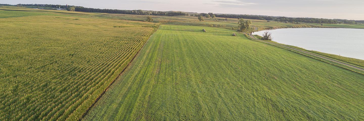 Cropland with pond