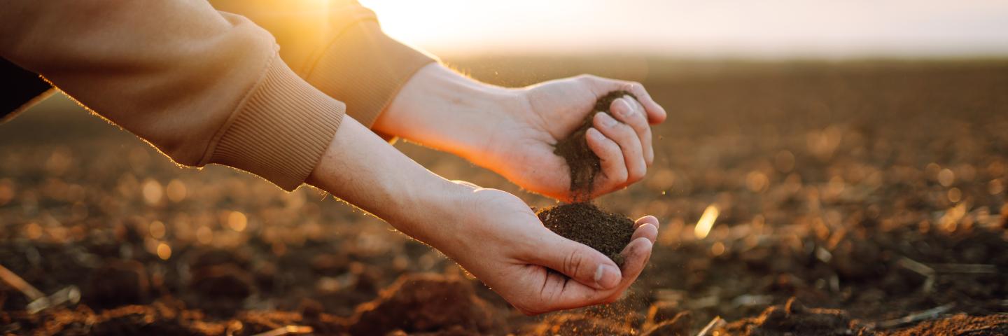 Only the arms and hands of a person kneeling in a field with soil in both hands for evaluation