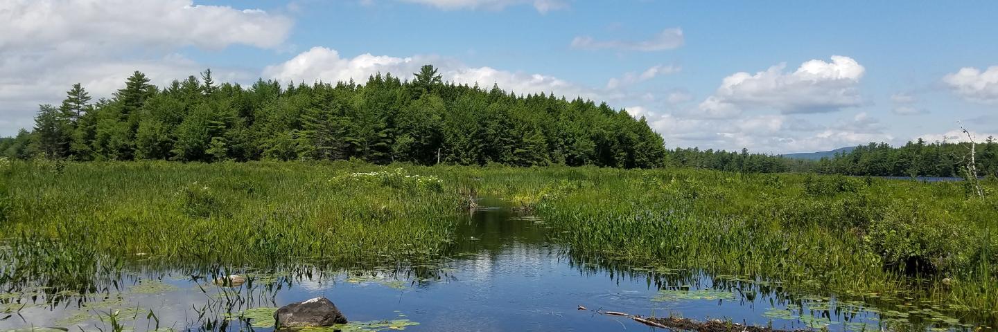 South Branch in Maine