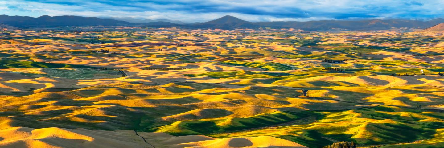 Ariel photo of the Palouse in Washington