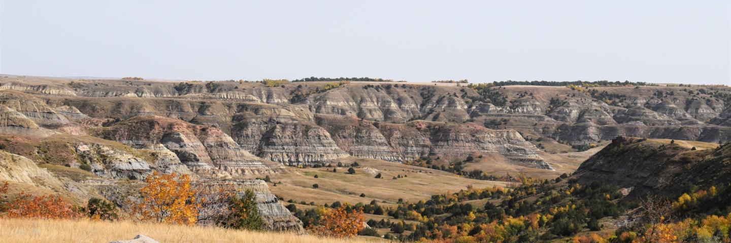 North Dakota Landscape