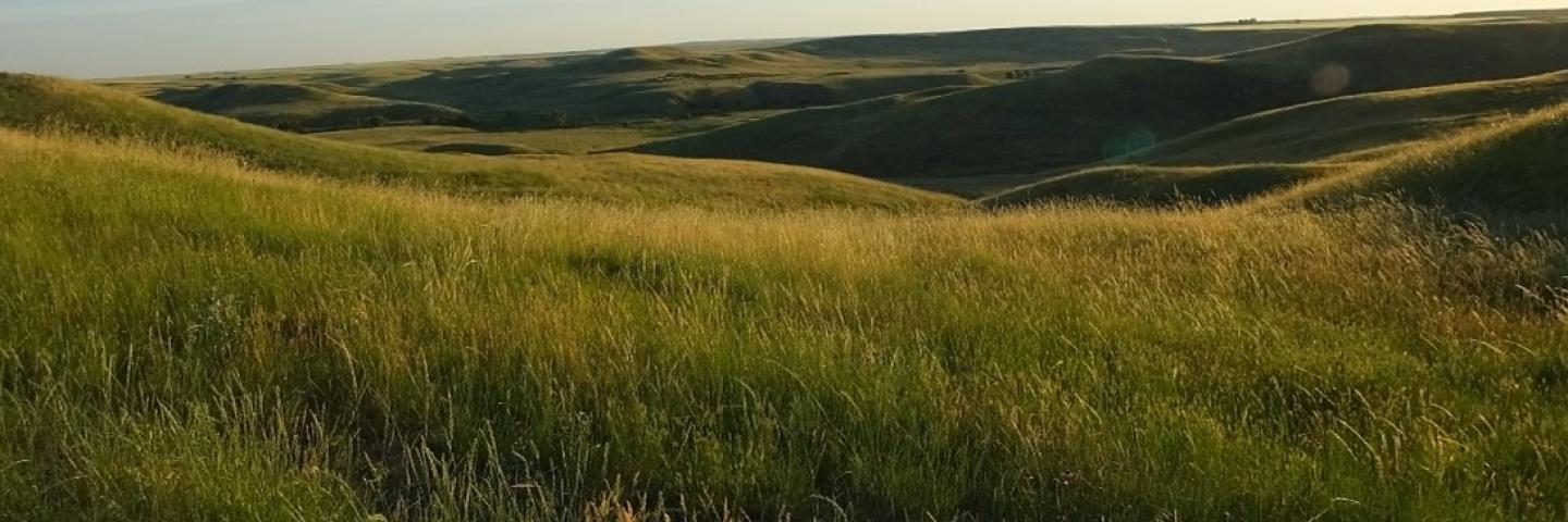 hilly landscape