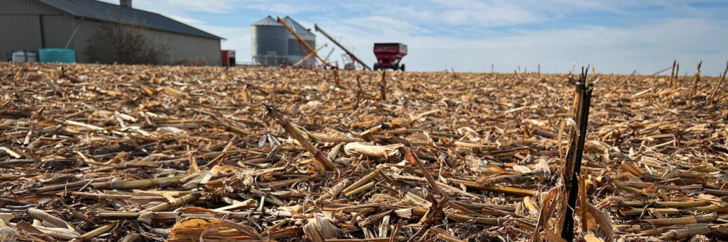 Corn stubble after harvest on a farm in Page County, Iowa.
