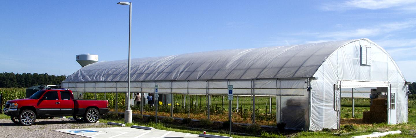 Virginia State University's $750,000 "High Tech High Tunnel" with side panels raised for maximum air flow (Photos by John Markon, Virginia NRCS).