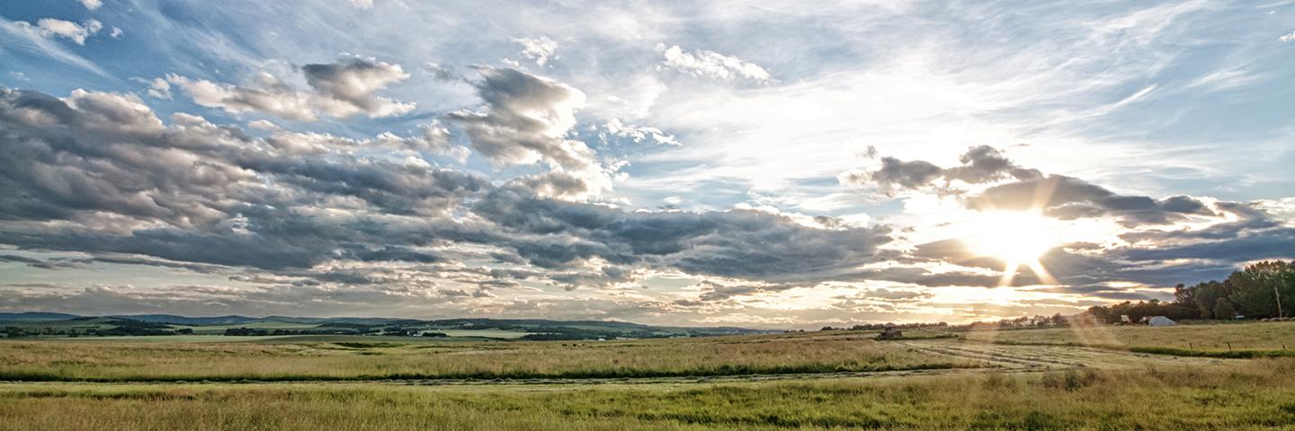 Sunrise over field