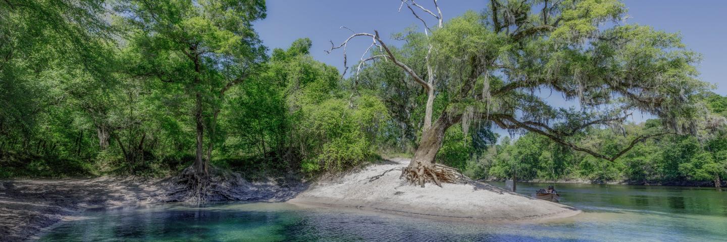 Telford Spring at Suwannee River in northern Florida.