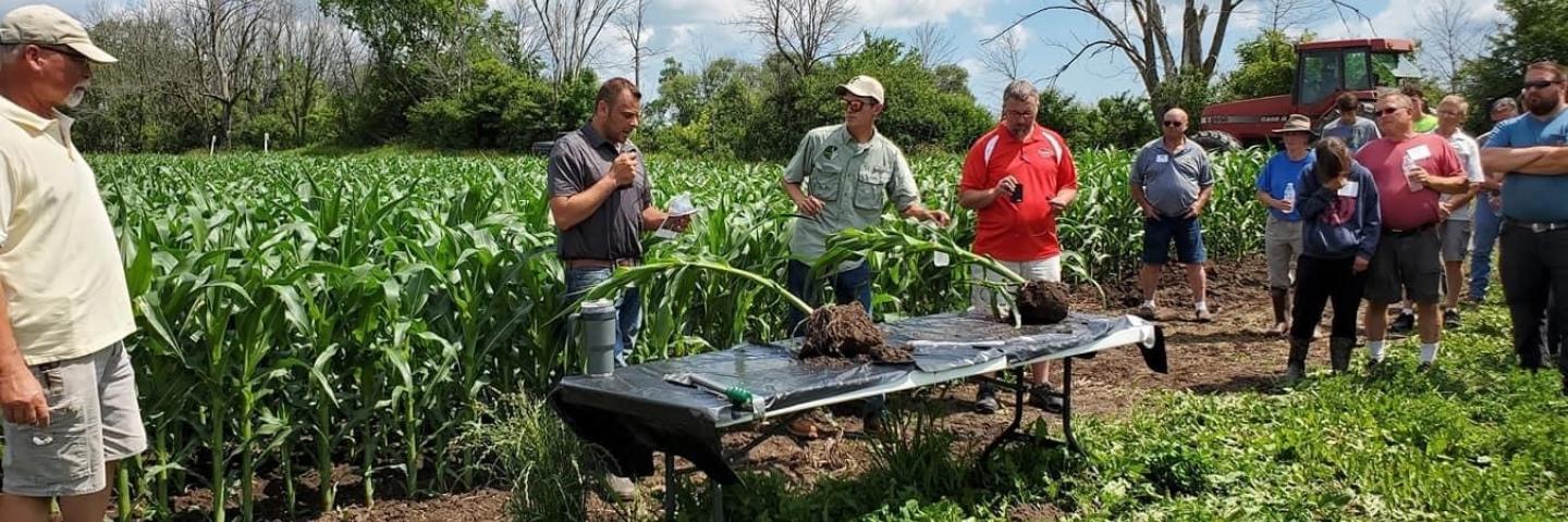 Group of landowners and soil health professionals standing in a corn field listening to a soil health presentation