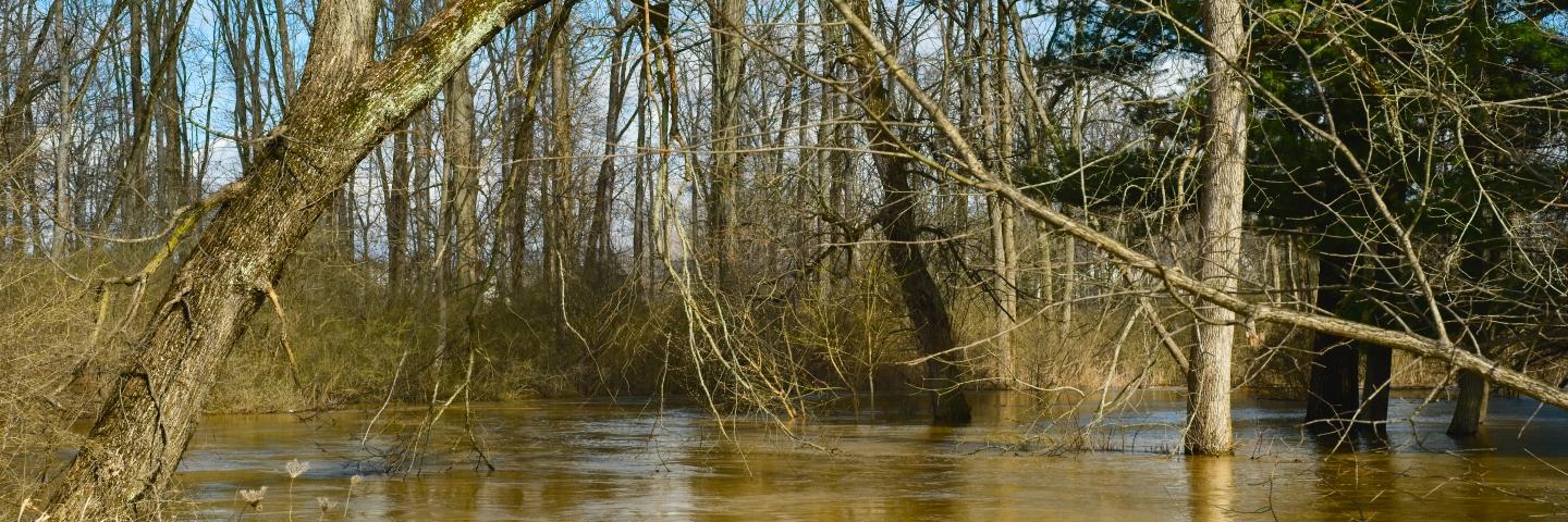 Floodplain easement