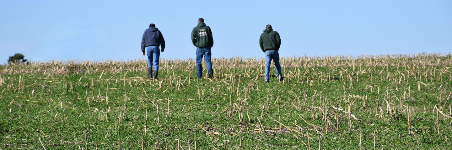 3 people wearing jeans and green hoodies walking into a green field with a blue sky above