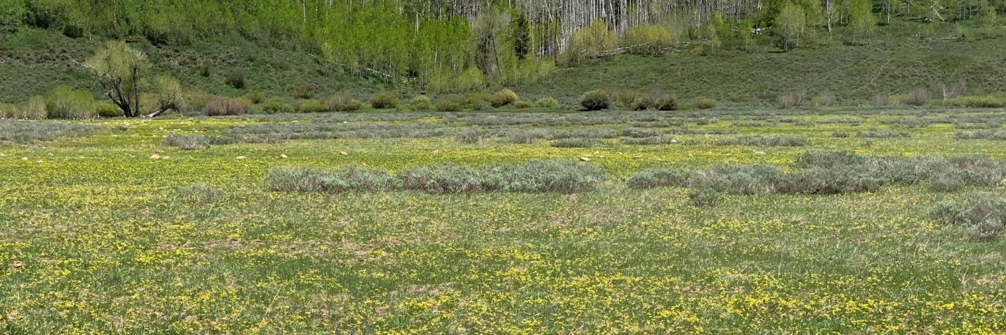 Potential site of west fork dam
