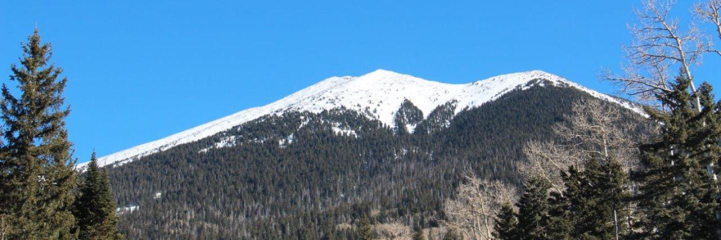 Snow covered mountain top surrounded by forest near Flagstaff, Arizona.