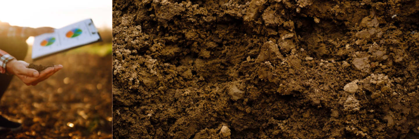 Picture collage of a person holding soil and an image of soil.