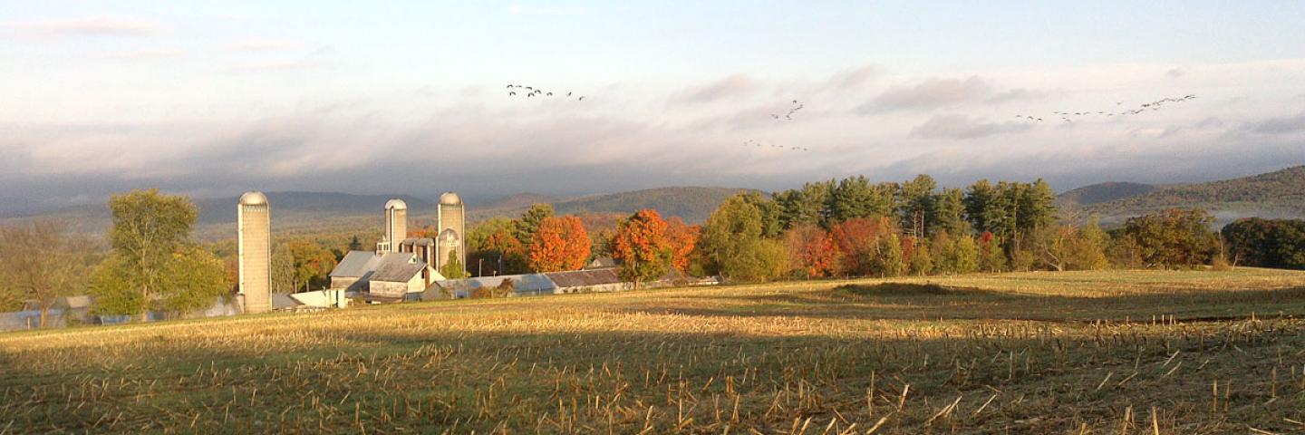 Cover crops grow on a crisp fall day at an upland New Hampshire farm. Cover cropping has been demonstrated to be a climate smart agricultural practice. (Photo by NRCS, N.H.) 