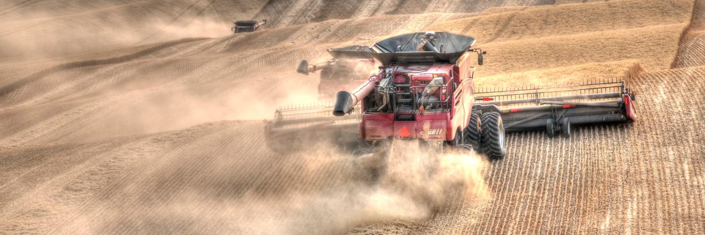 Harvesting on the Palouse in Wasington