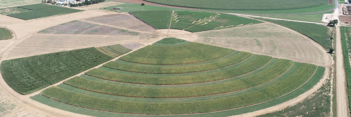 aerial view of circular crop land