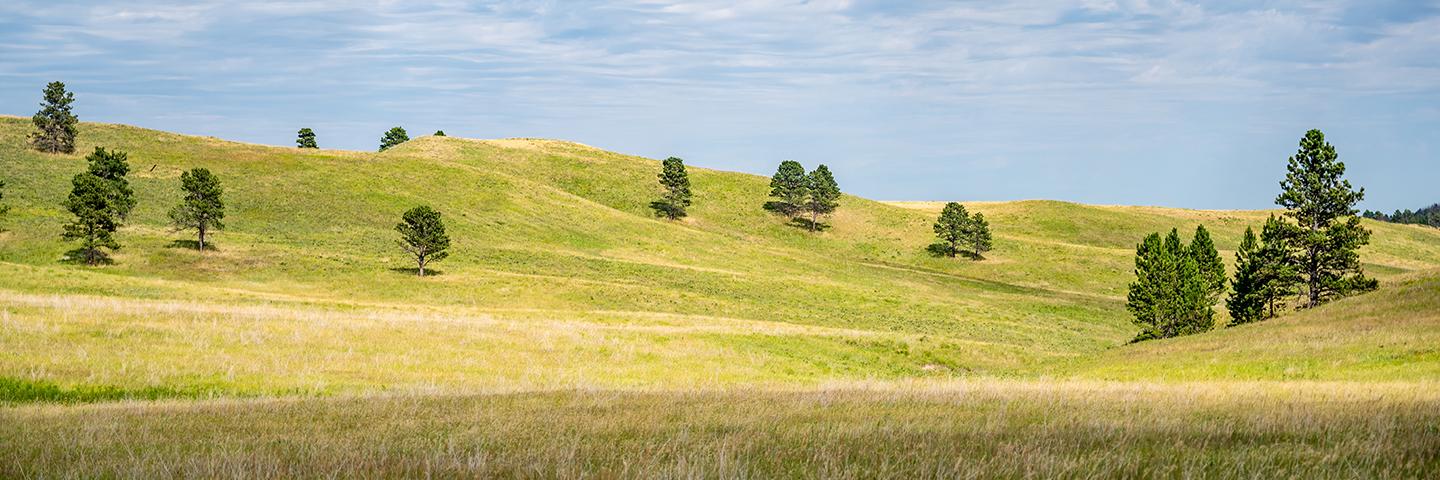 Custer County Project