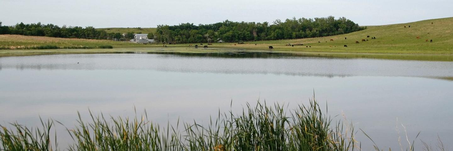 Ducks Unlimited RCPP Project