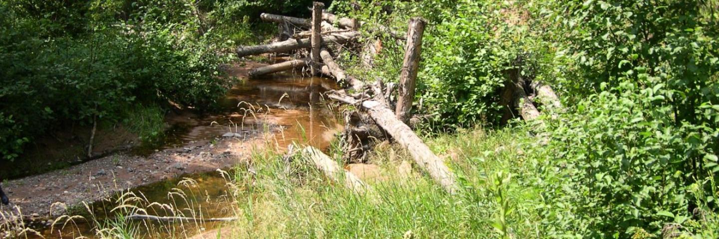 Joint Chiefs' Landscape Restoration Partnership