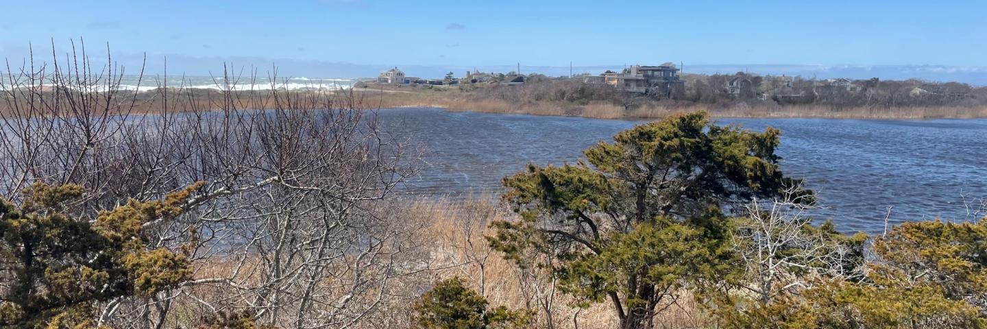 View of Long Pond in the Sakonnet River, RI, watershed.