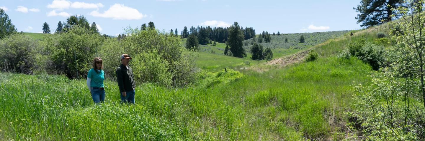 NRCS employee and landowner look at riparian area and forested hills on a large ranch.