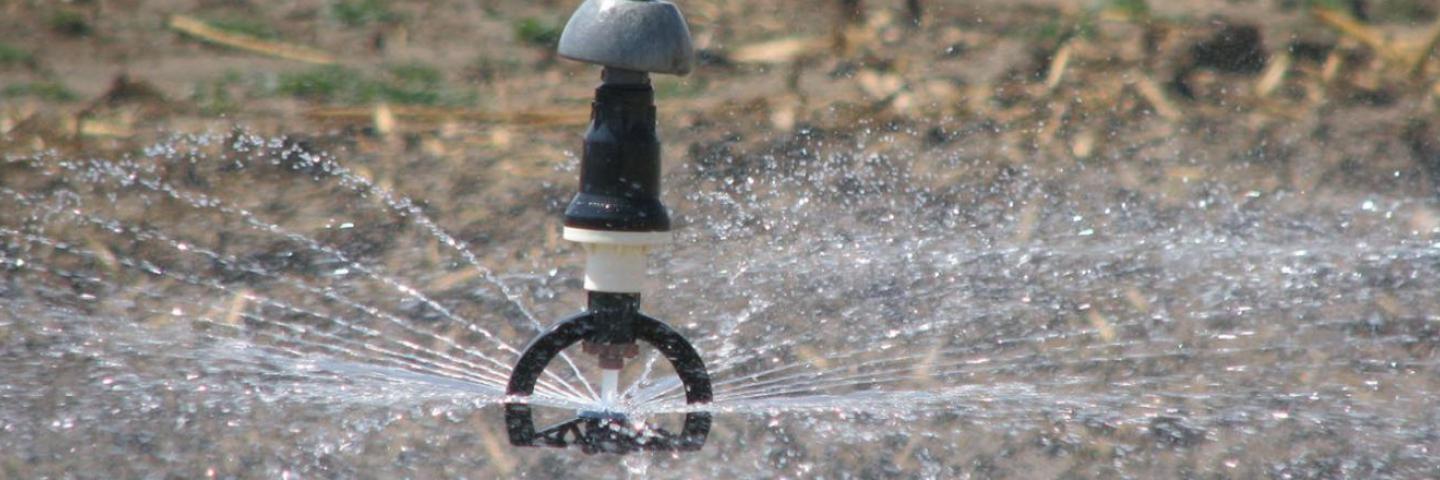 A close-up photo of a water sprinkler.