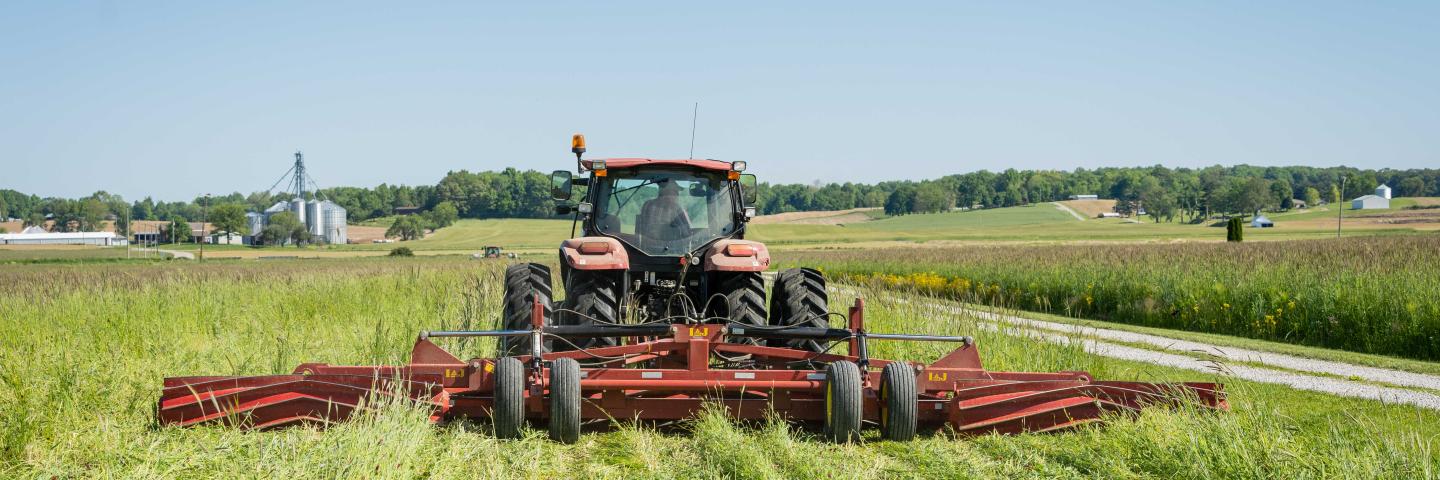 Indiana farmer roller crimping cover crops