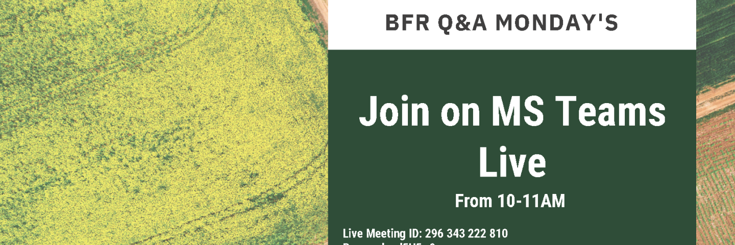 BFR Q&A Monday's