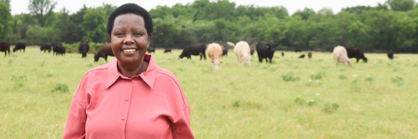 Kenyan native Elizabeth Kinwa standing in front of her beef cattle herd in Texas.