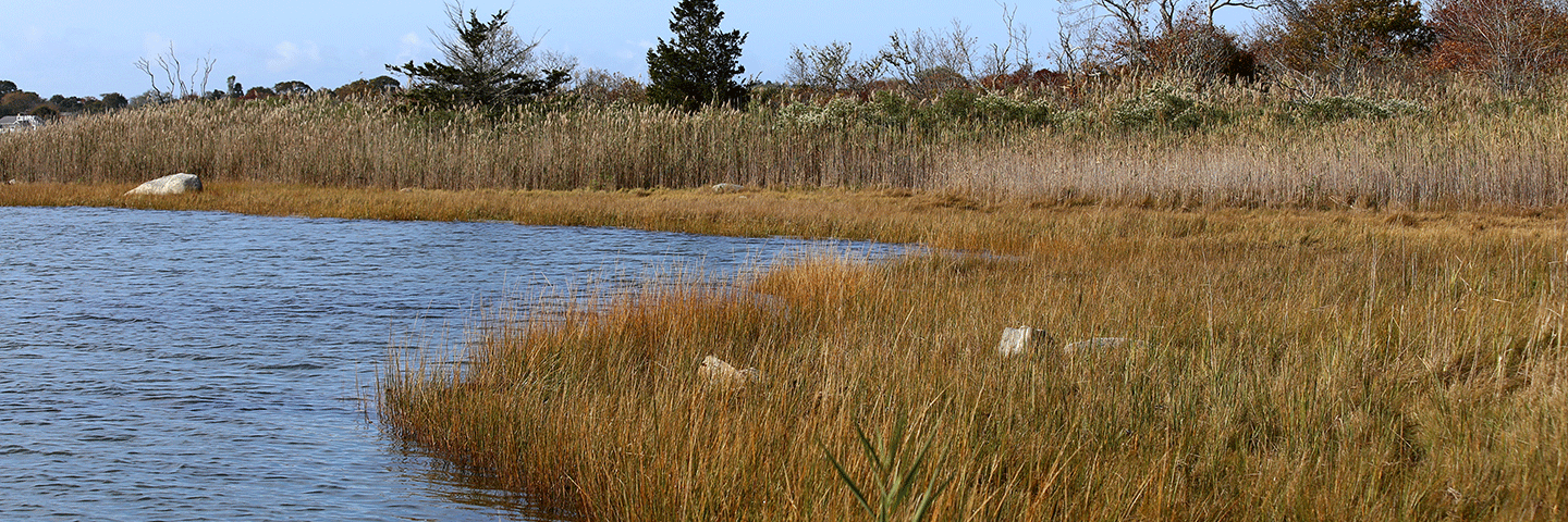 Winnapaug Pond in Westerly, RI, one of the three RI Statewide Natural Systems Demo project RCPP locations.